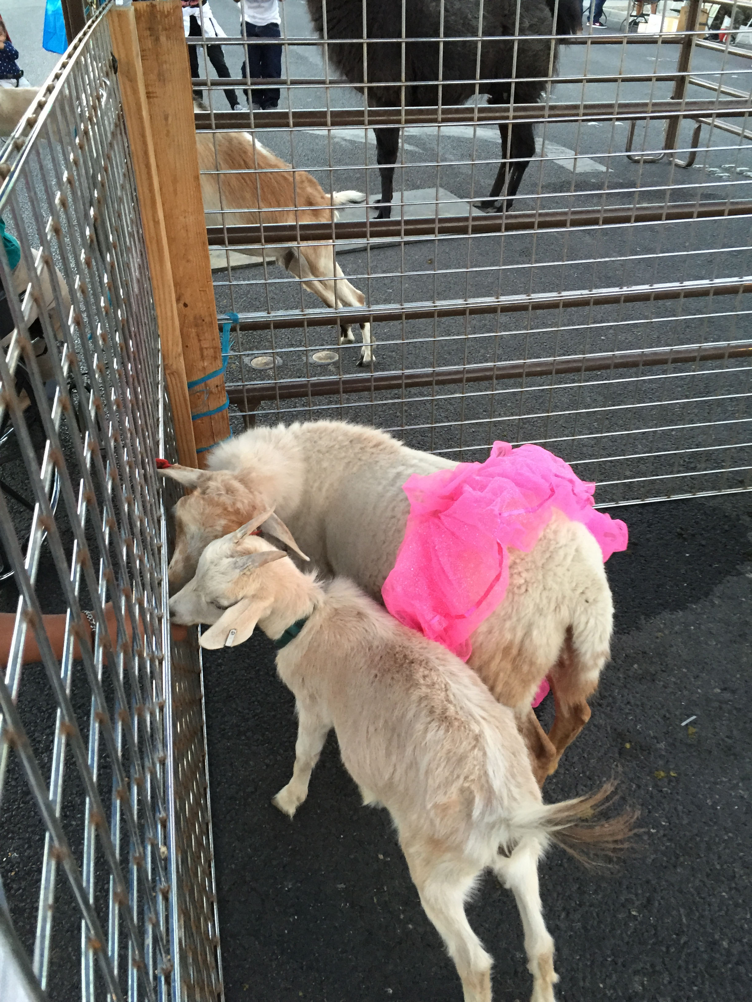 Photo Galleries Archive Broken Chains MinistryBroken Chains Ministry